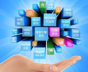 中小企业全网营销致胜之道 精准布局与文化合规并重